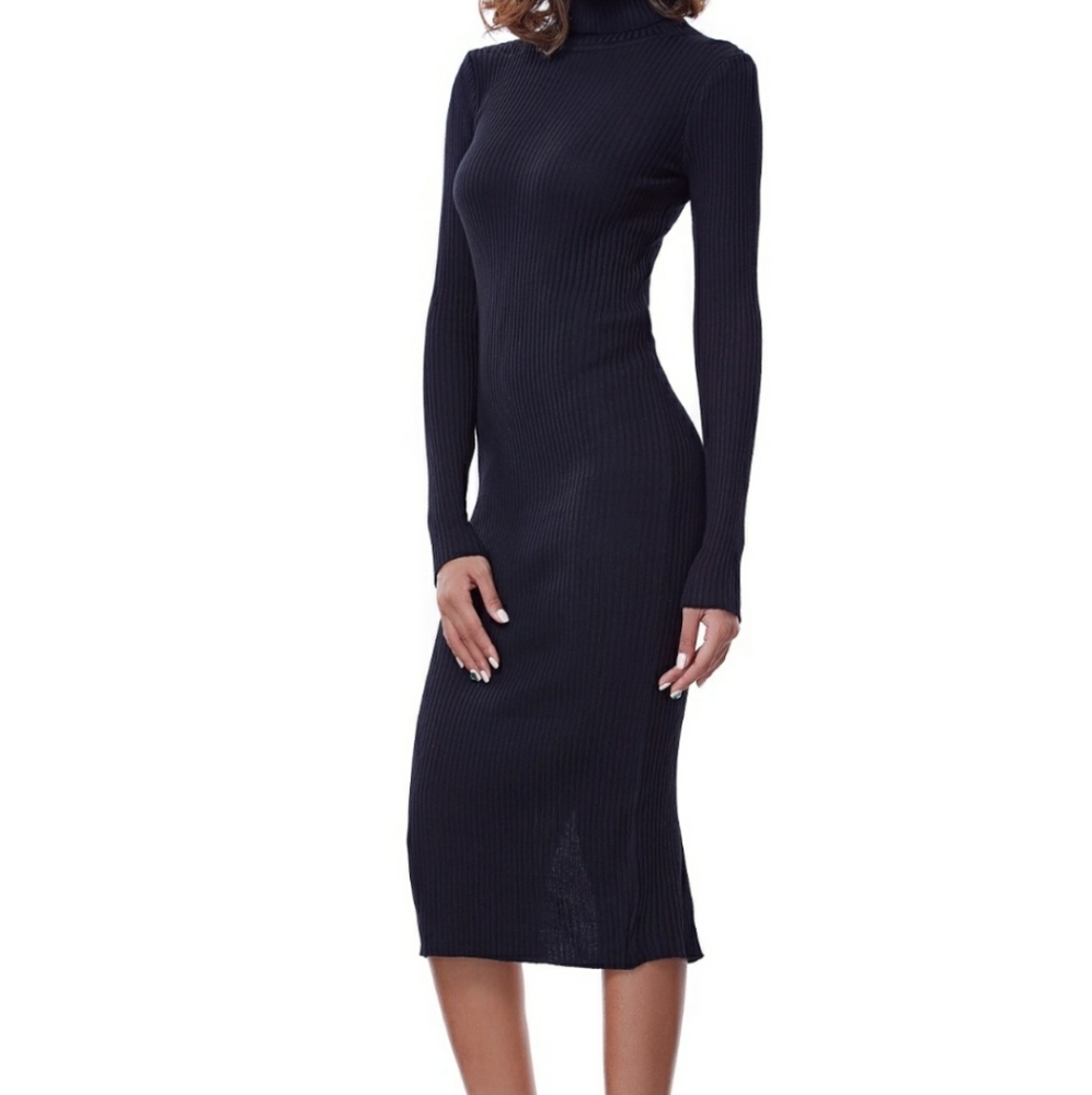 Gorgeous black turtleneck sweater dress